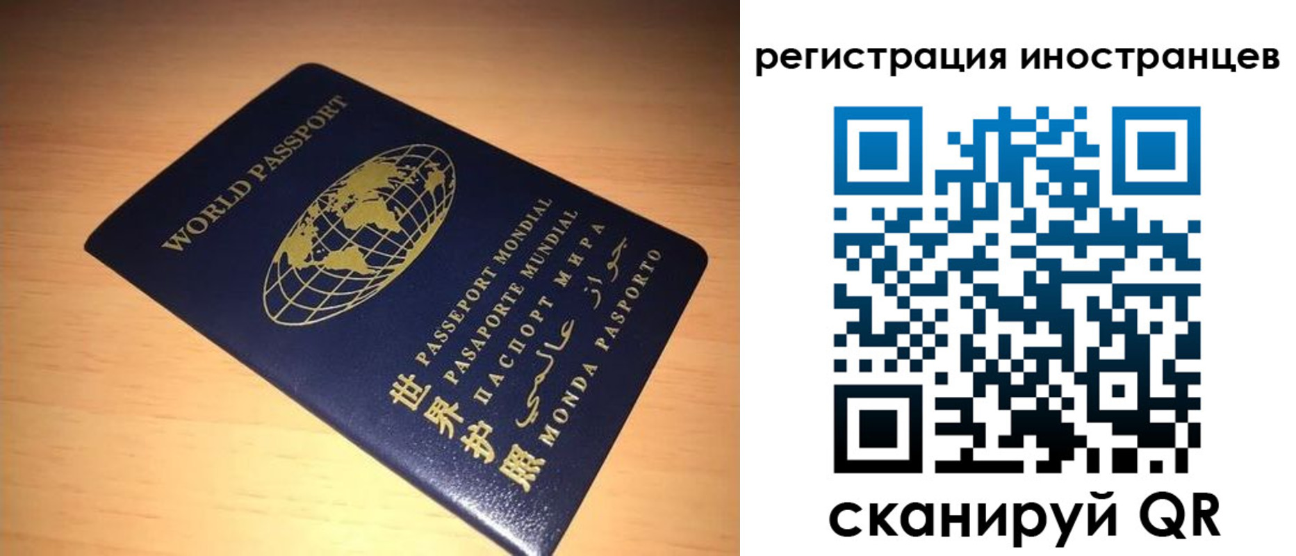 прописка гарантия в Волгограде
